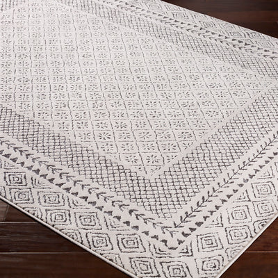 Tapis Scandinave Bohème Gris/Beige Monaco